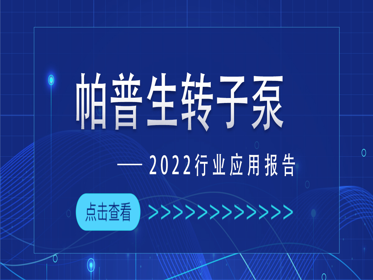 帕普生转子泵2022行业应用报告
